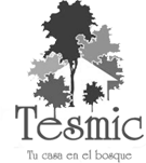 tesmic